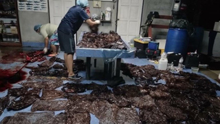 El problema del plástico resumido en una imagen: esta ballena murió por ingerir 80 bolsas<em></em>